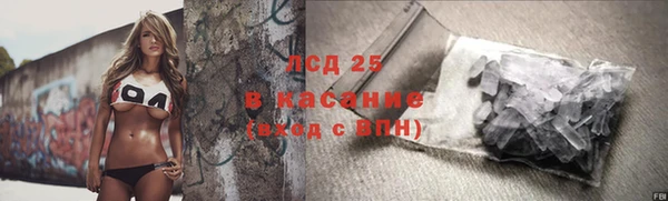 ГАЛЛЮЦИНОГЕННЫЕ ГРИБЫ Балахна