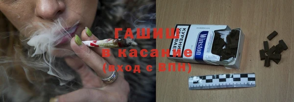 прущие грибы Богданович