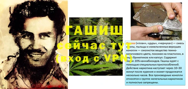 индика Приозерск