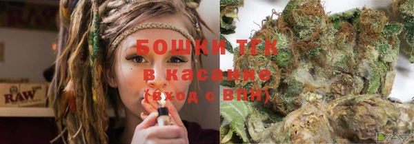 ГАЛЛЮЦИНОГЕННЫЕ ГРИБЫ Балахна