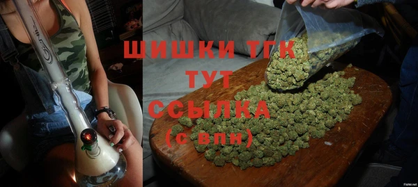 ГАЛЛЮЦИНОГЕННЫЕ ГРИБЫ Балахна