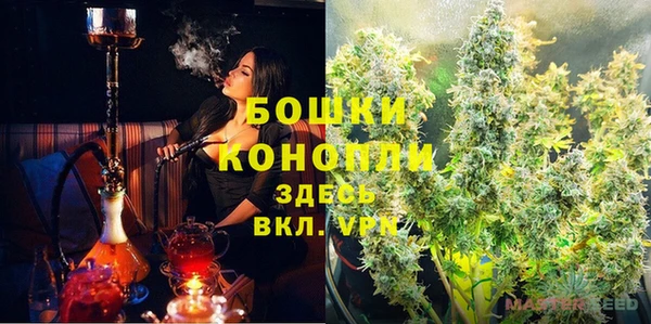 ГАЛЛЮЦИНОГЕННЫЕ ГРИБЫ Балахна